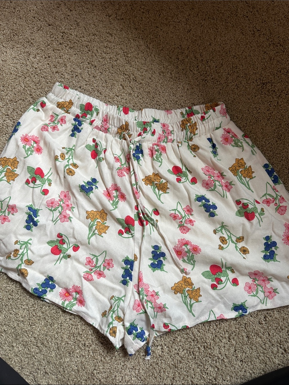 Francesca's Floral shorts — Cream with Pink, Red, Green & Gold Flowers
